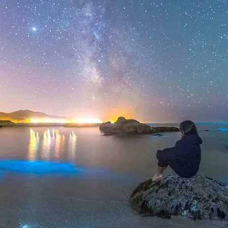 Marismas Do Anllons * Ponteceso